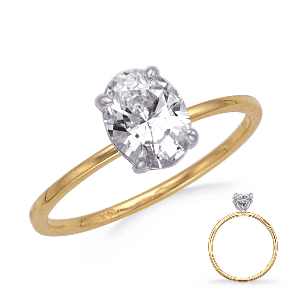 14K Yellow Gold Solitaire Ring with 14K White Gold Oval Head